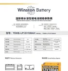 WB-LP12V100AH - даташит Winston