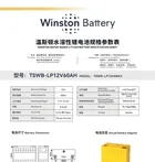 WB-LP12V60AH - даташит Winston
