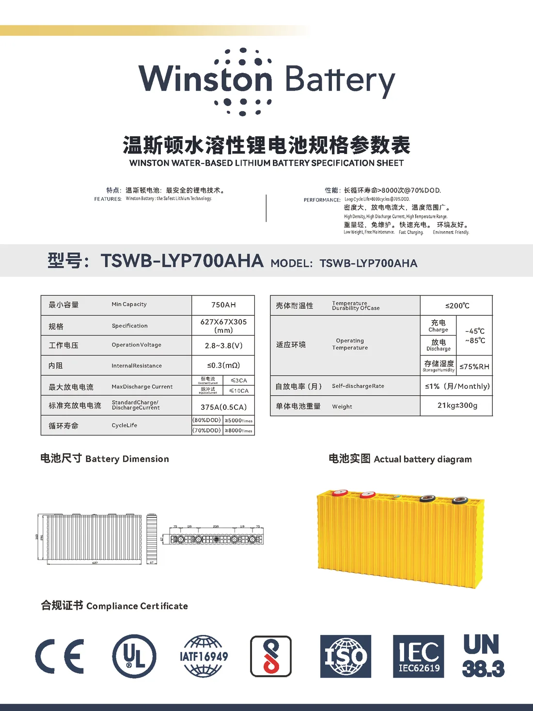 Даташит Winston WB-LYP700AHA на английском и китайском: характеристики, размеры, фото